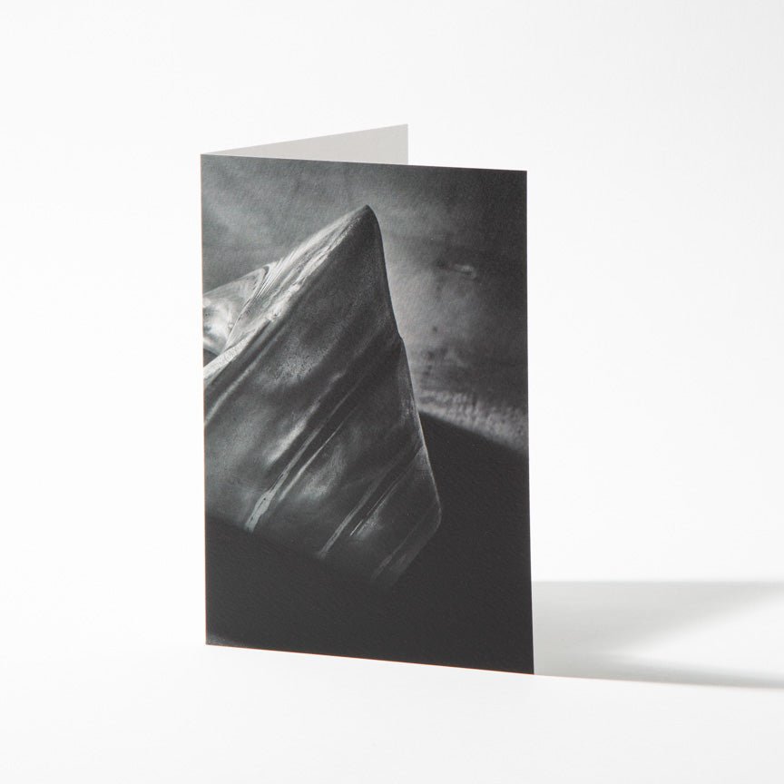 Fine Art Card - Shell Detail - Heating & Plumbing London -