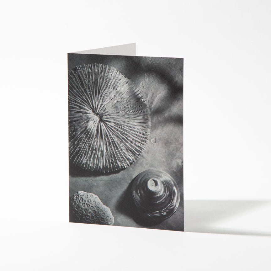 Fine Art Card - The Sea Floor - Heating & Plumbing London -