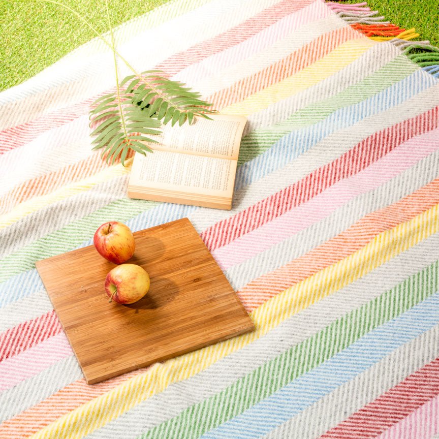 Pure new wool picnic blanket - Rainbow - Heating & Plumbing London - Picnic Blanket