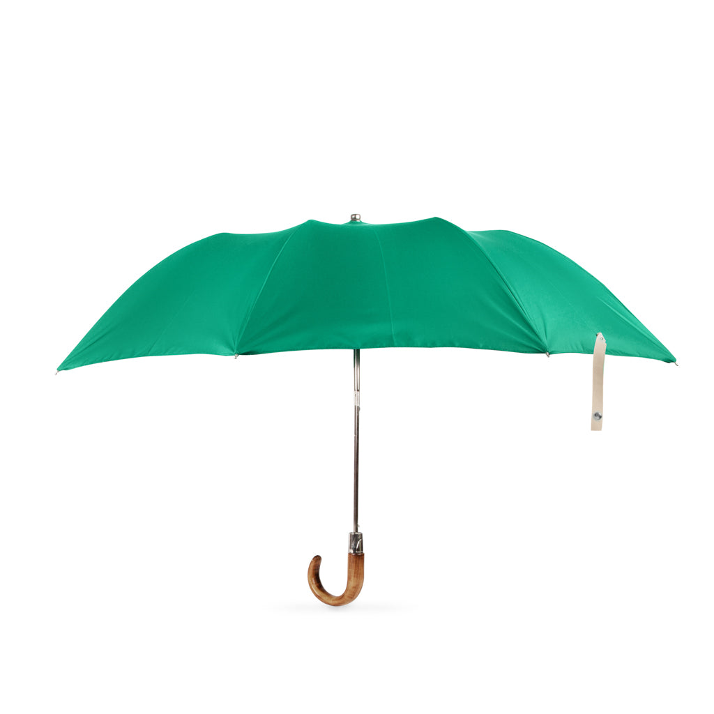 stylish British umbrella with green canopy