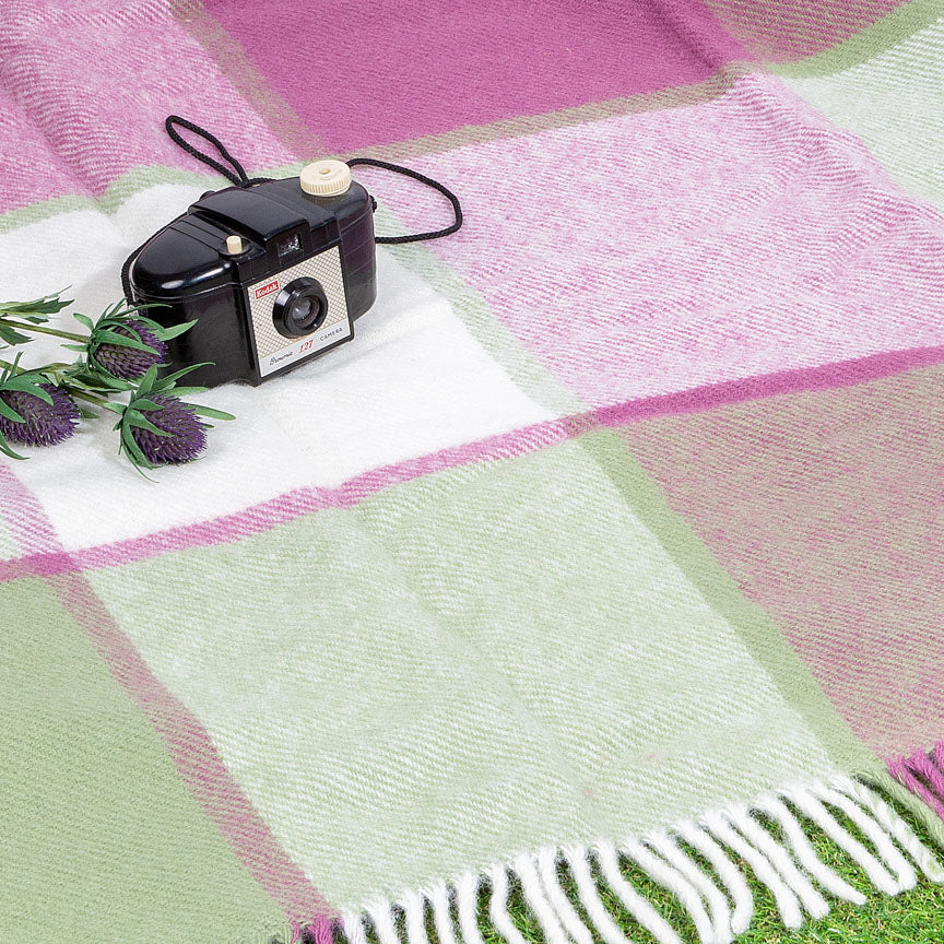 purple and green check picnic blanket