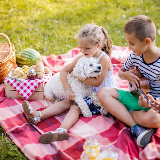 11 Tips for a Fantastic Picnic with Your Dog - Heating & Plumbing London