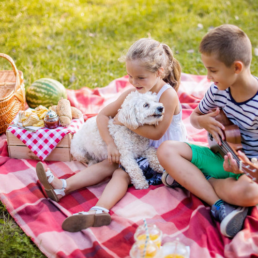 family picnic with dog