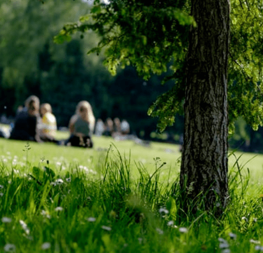 Top 9 Picnic Spots in Surrey - Heating & Plumbing London