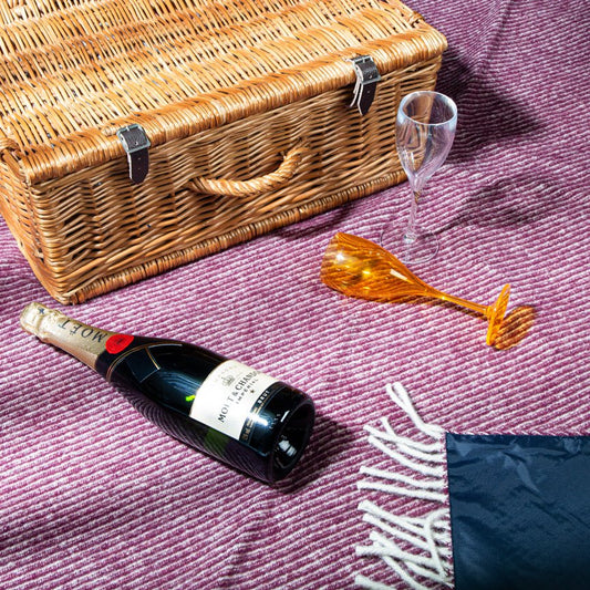 What to Pack for a Picnic for Two? - Heating & Plumbing London